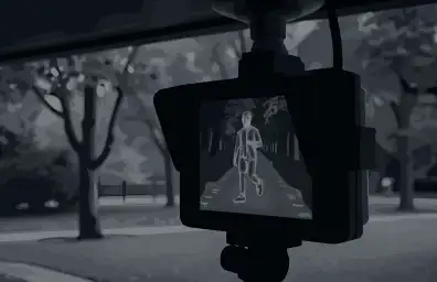FLIR